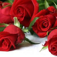 أم عمار