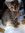 Cátia G...