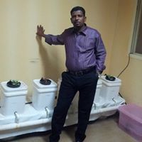 Altayebabbas Ali