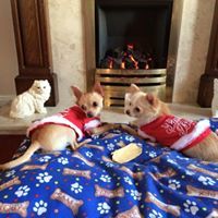 lesley healey oxtoby