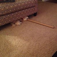 Sandra Moore-Richter