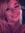 Hollie