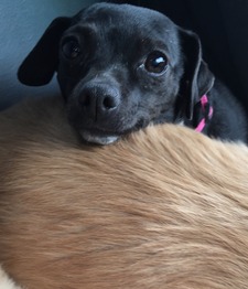 Ellie L.