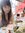 Yuexin Jia
