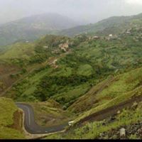 انس الحميري