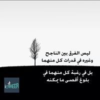 محمد النجار