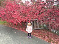 Sumer DeGraffenried Duncan