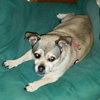 Stephanie Wagner Krebs