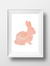 Bunny McFoo