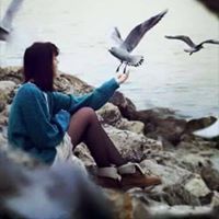Nour Mahmoud