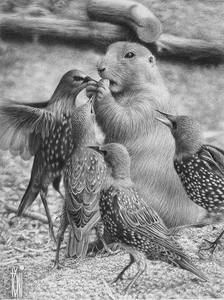 محمد عبد العزيز