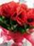 Alina D...