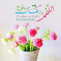 الموجه الهادئه