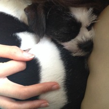Sarah