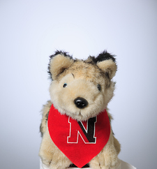 Northeastern University Scholars Program