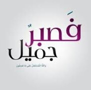 Eng-Alaa Elmahdy