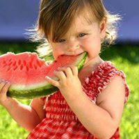 الفراش الحائر