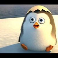 Mrinmoyee Chakraborty