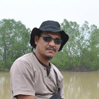 Saiful Alsa