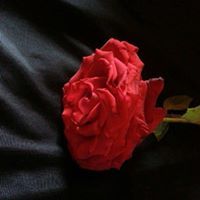 نور الحياه