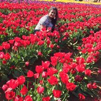 Deepika Radhakrishnan