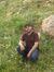 Ahmed A...
