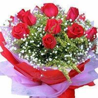 عبدالله علوى