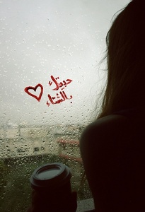 مصطفي  محمود