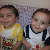 فراشة المطر