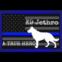 Nikki Nicholas-Corder