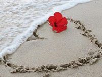 سعود الجهني