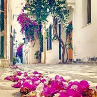 أندلسي الحكاية