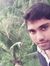 Ameer S...