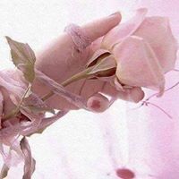 مروان الجلال