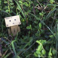 ฮกหลง ฮองซู