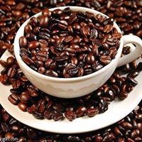 محمود السباعى