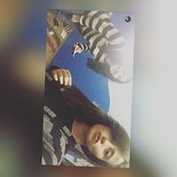 Dareen Bashiti