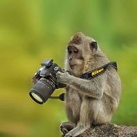 Mohd Mohamad