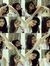 Varsha ...