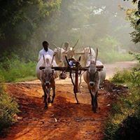 தொப்பம்பட்டி கிராமம்