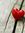 Nikki Lostinsweetwords blog (lostinsweetwords) | 5 comments