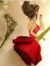 Salma S...