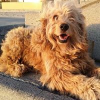 SandyWould PlayingVolleyball