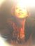Hollie
