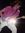 Kevin Bowdler | 9 comments