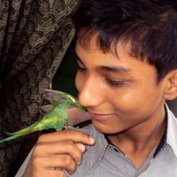 Arnob Dutta