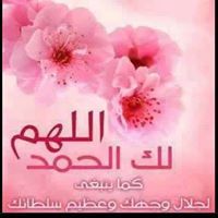 Mohammad AbdulMoniem