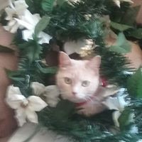 Beverly McCool-Jenkins