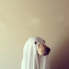 Brian