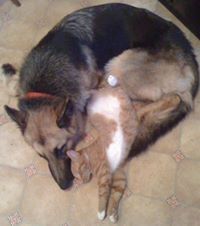 john Edward  MacKinnon